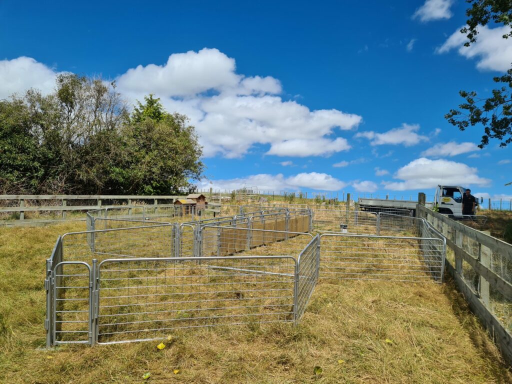 Portable Sheep Yards – Taylor Made Gates