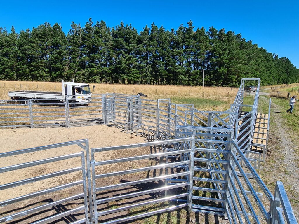 Permanent Cattle Yards – Taylor Made Gates