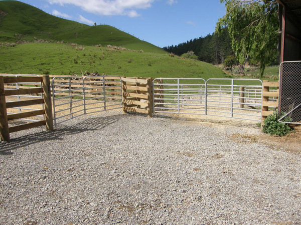 Stock and Cattle Gates