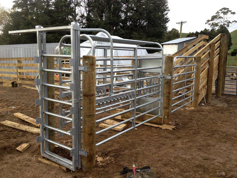 Cattle Crush Taylor Made Gates