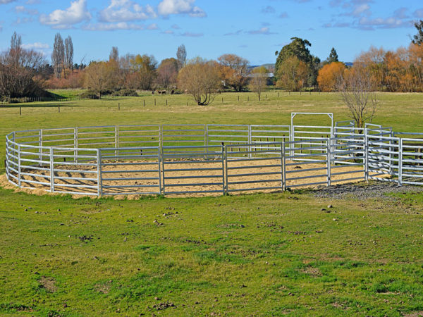 Horse Stables and Arenas