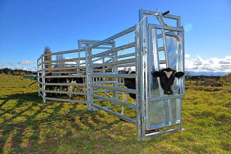 Portable Cattle Yards Taylor Made Gates