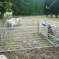 Portable Sheep Yards – Taylor Made Gates